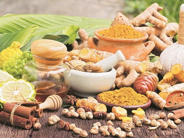 ayurveda india croatia_1&