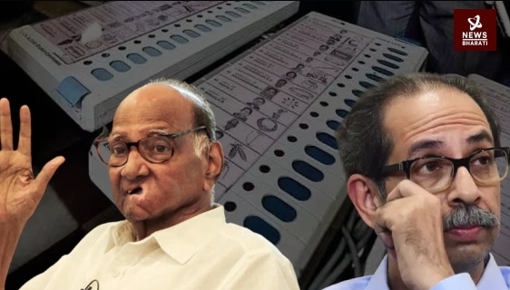 Sharad Pawar Uddhav Thackeray Gra Panchayat Elections Results