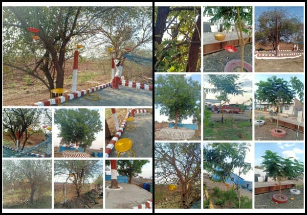 Birds feeding site at Amravati 