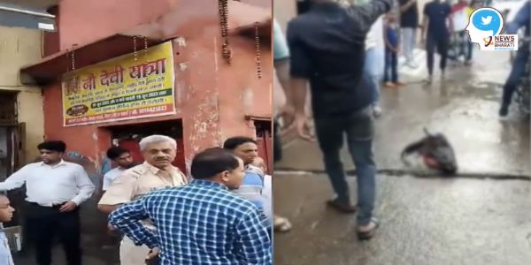 Azeem and one other dump severed head of buffalo near Hanuman temple in Delhi, chilling video goes viral-