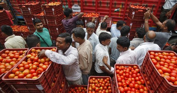 Tomato Prices