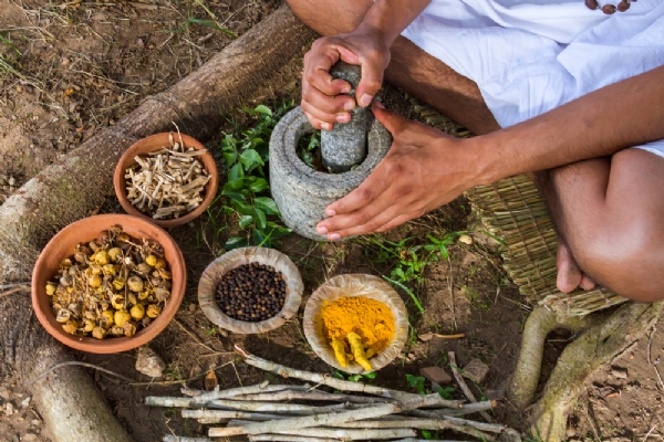 Ayurveda Vishwaguru Bharat