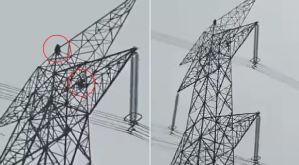  girlfriend climbs 80-feet-high transmission tower, boyfriend follows her