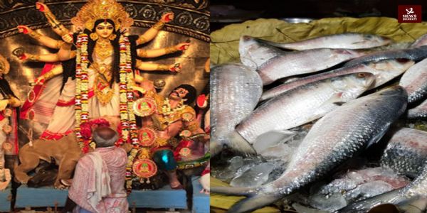 Hilsa Bangladesh