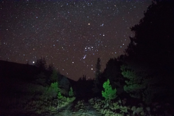 Pench Tiger Reserve becomes India’s first Dark Sky Park - NewsBharati