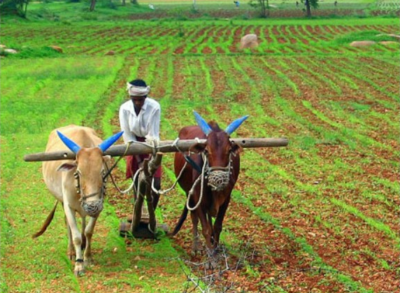 Maharashtra govt farmers agriculture